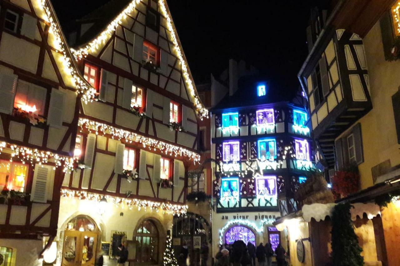 Gite Hopla 2 Chambres Colmar Bagian luar foto
